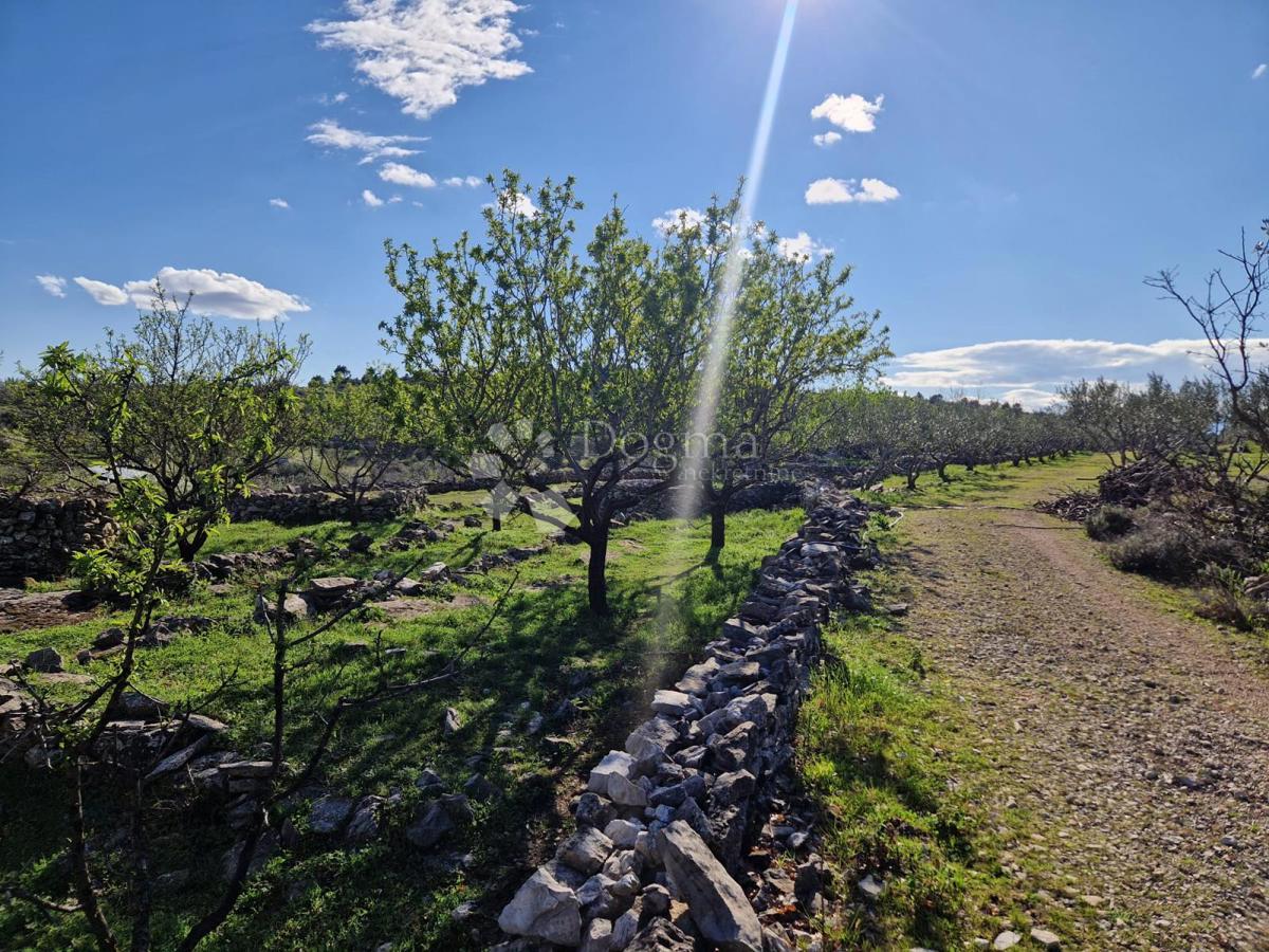 Terreno agricolo Donji Humac, Nerežišća, 10.600m2