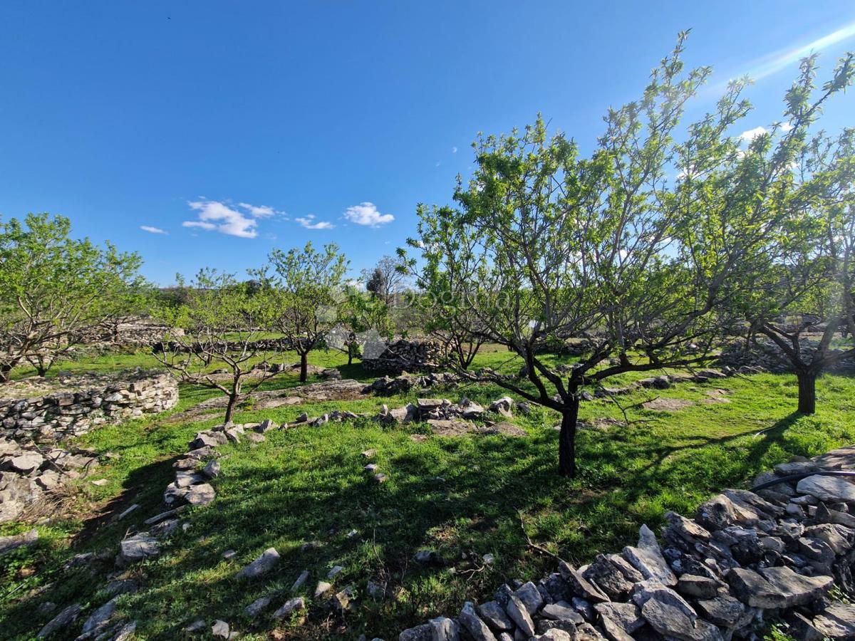 Terreno agricolo Donji Humac, Nerežišća, 10.600m2
