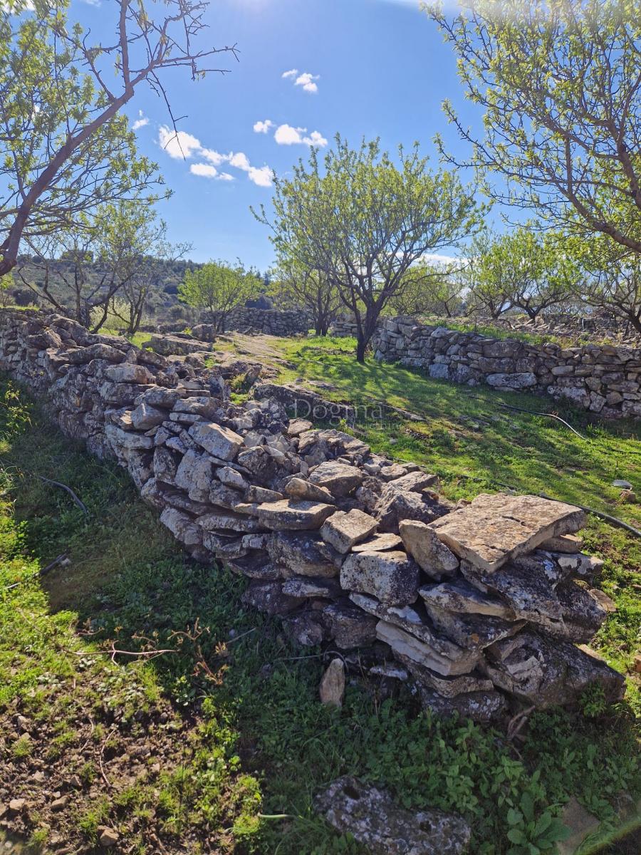 Terreno agricolo Donji Humac, Nerežišća, 10.600m2