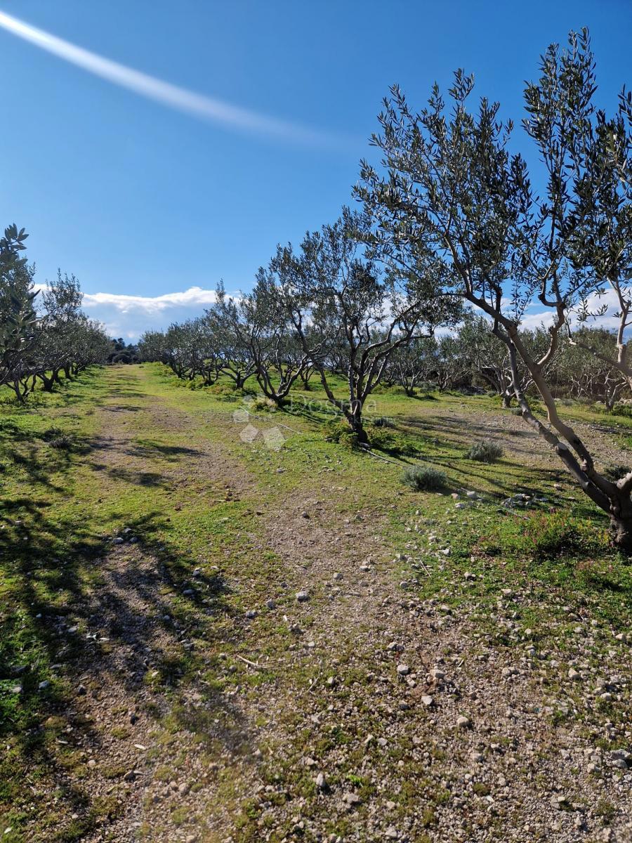 Terreno agricolo Donji Humac, Nerežišća, 10.600m2