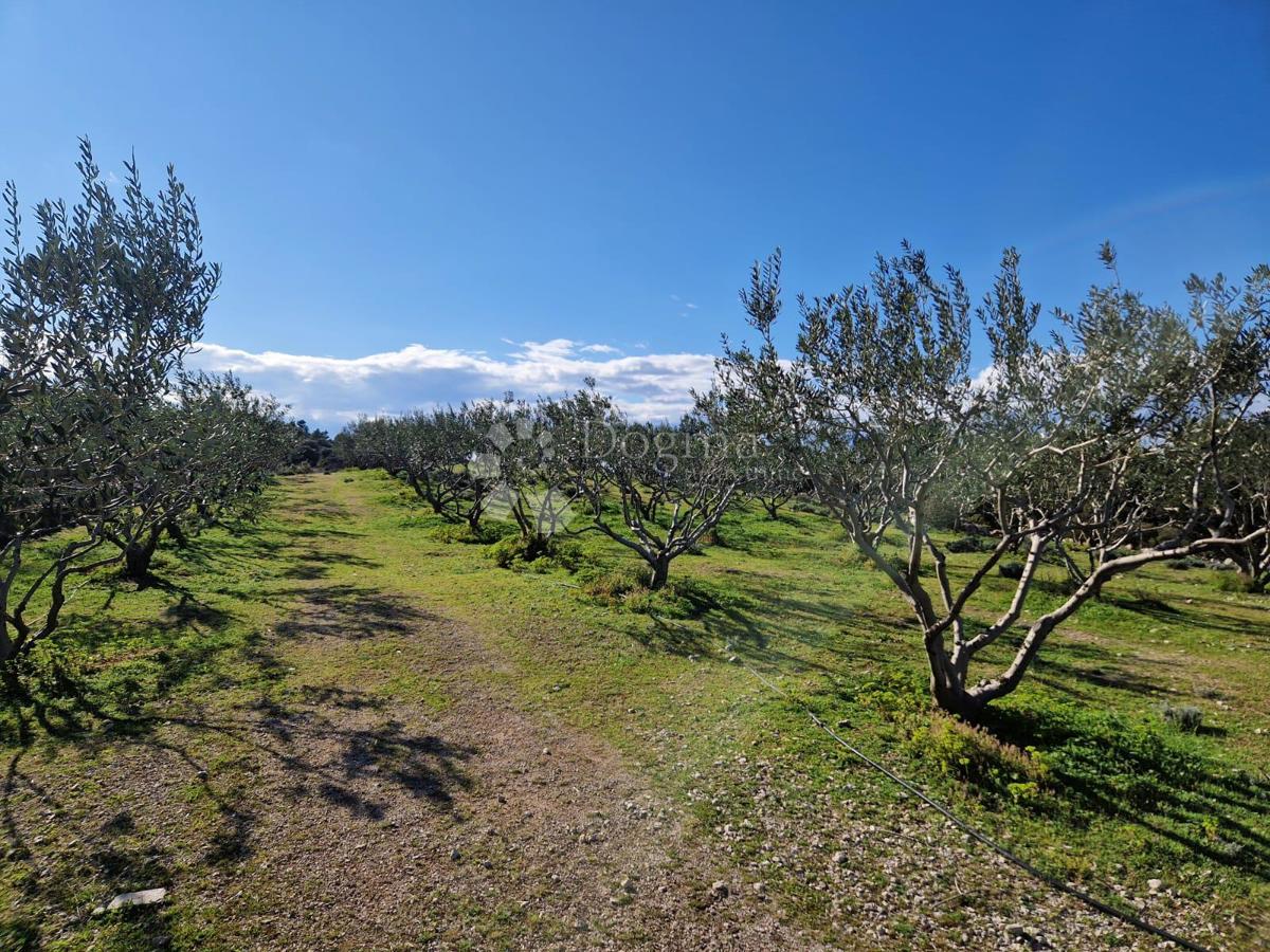 Terreno agricolo Donji Humac, Nerežišća, 10.600m2