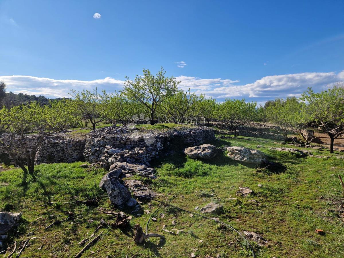 Terreno agricolo Donji Humac, Nerežišća, 10.600m2