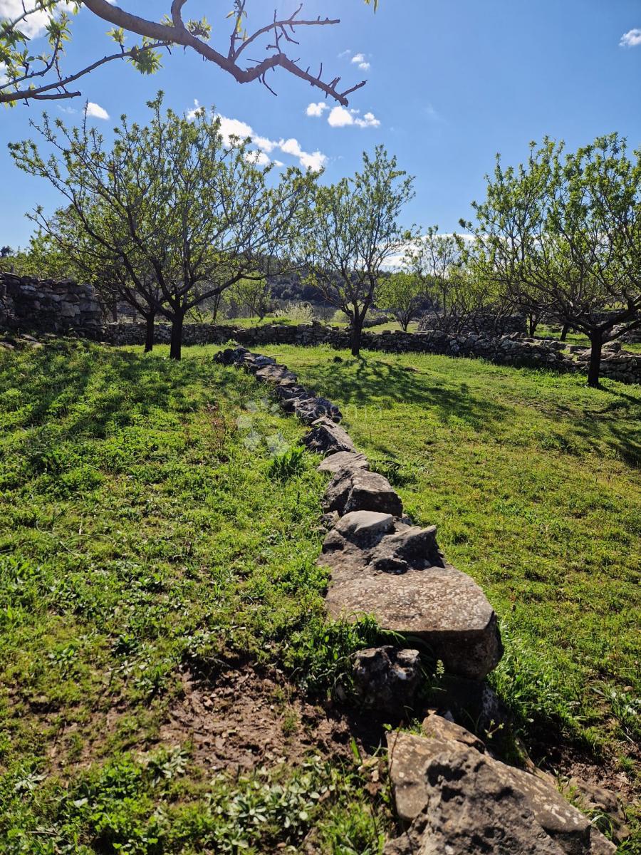 Terreno agricolo Donji Humac, Nerežišća, 10.600m2