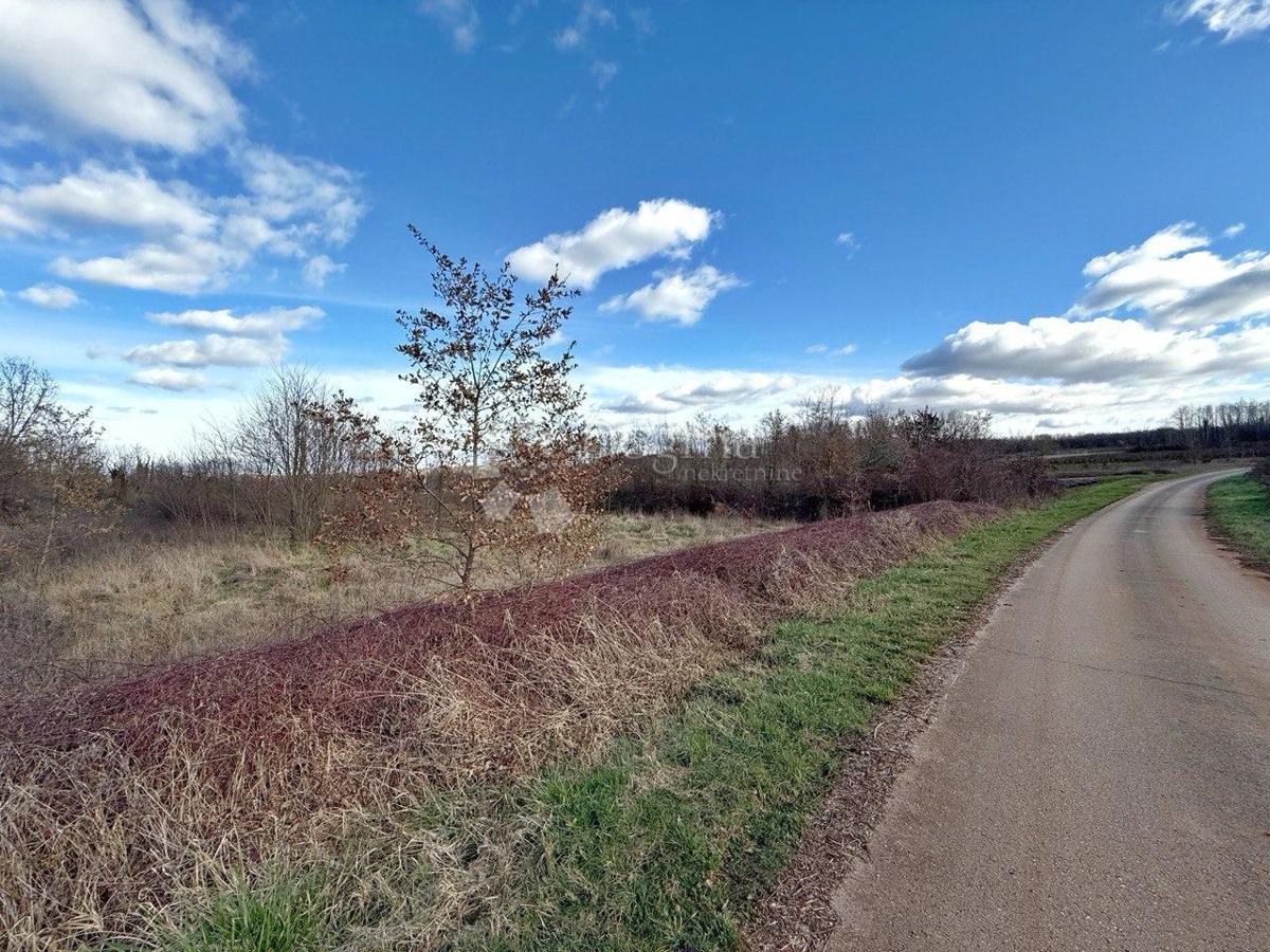 RARO SUL MERCATO - STANCIJA PERFETTA PER RESIDENZA PRIVATA O MODELLO DI BUSINESS