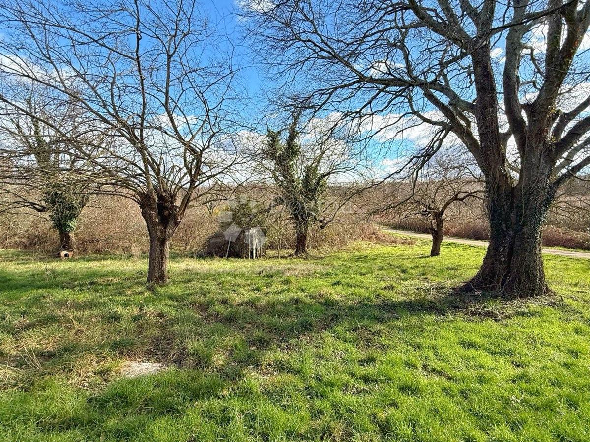 RARO SUL MERCATO - STANCIJA PERFETTA PER RESIDENZA PRIVATA O MODELLO DI BUSINESS