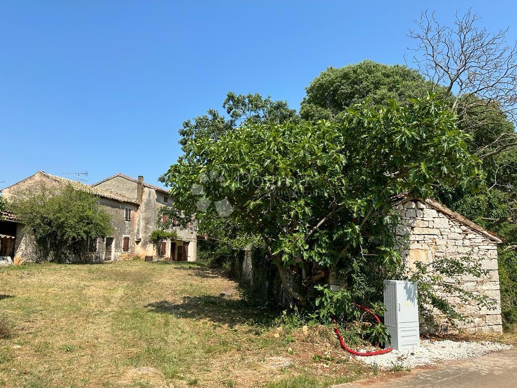 RARO SUL MERCATO - STANCIJA PERFETTA PER RESIDENZA PRIVATA O MODELLO DI BUSINESS