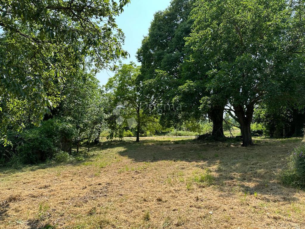 RARO SUL MERCATO - STANCIJA PERFETTA PER RESIDENZA PRIVATA O MODELLO DI BUSINESS