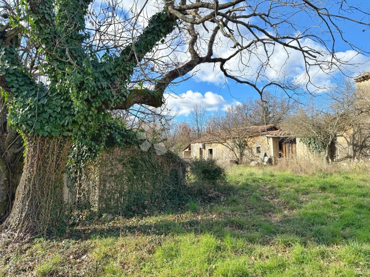 RARO SUL MERCATO - STANCIJA PERFETTA PER RESIDENZA PRIVATA O MODELLO DI BUSINESS