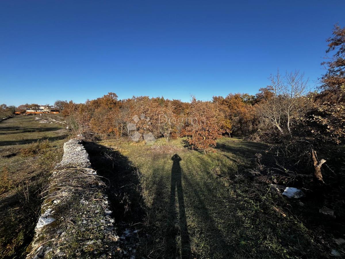 Terreno Čabrunići, Svetvinčenat, 1.031m2