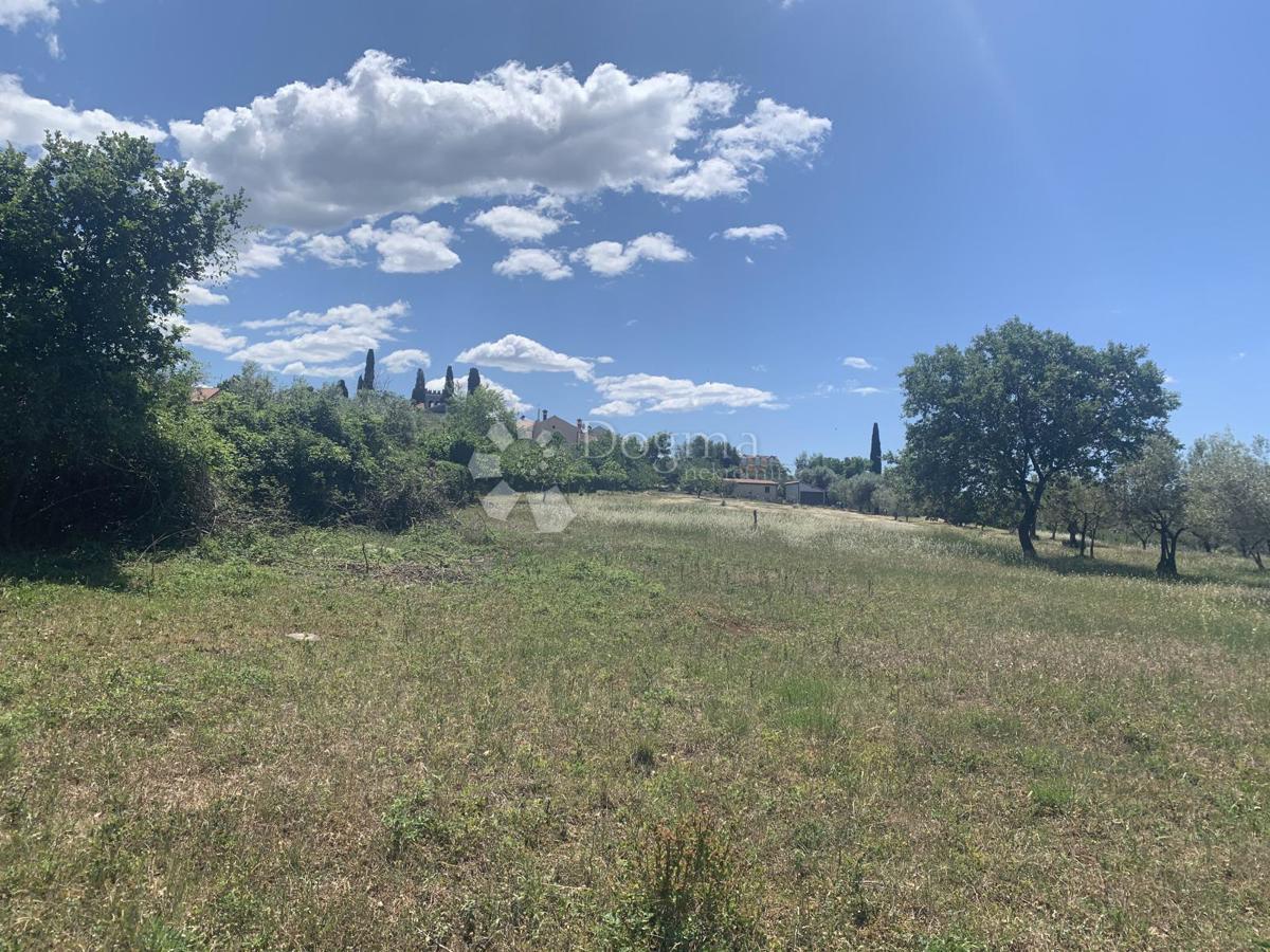 Terreno edificabile Buje, 8.690m2