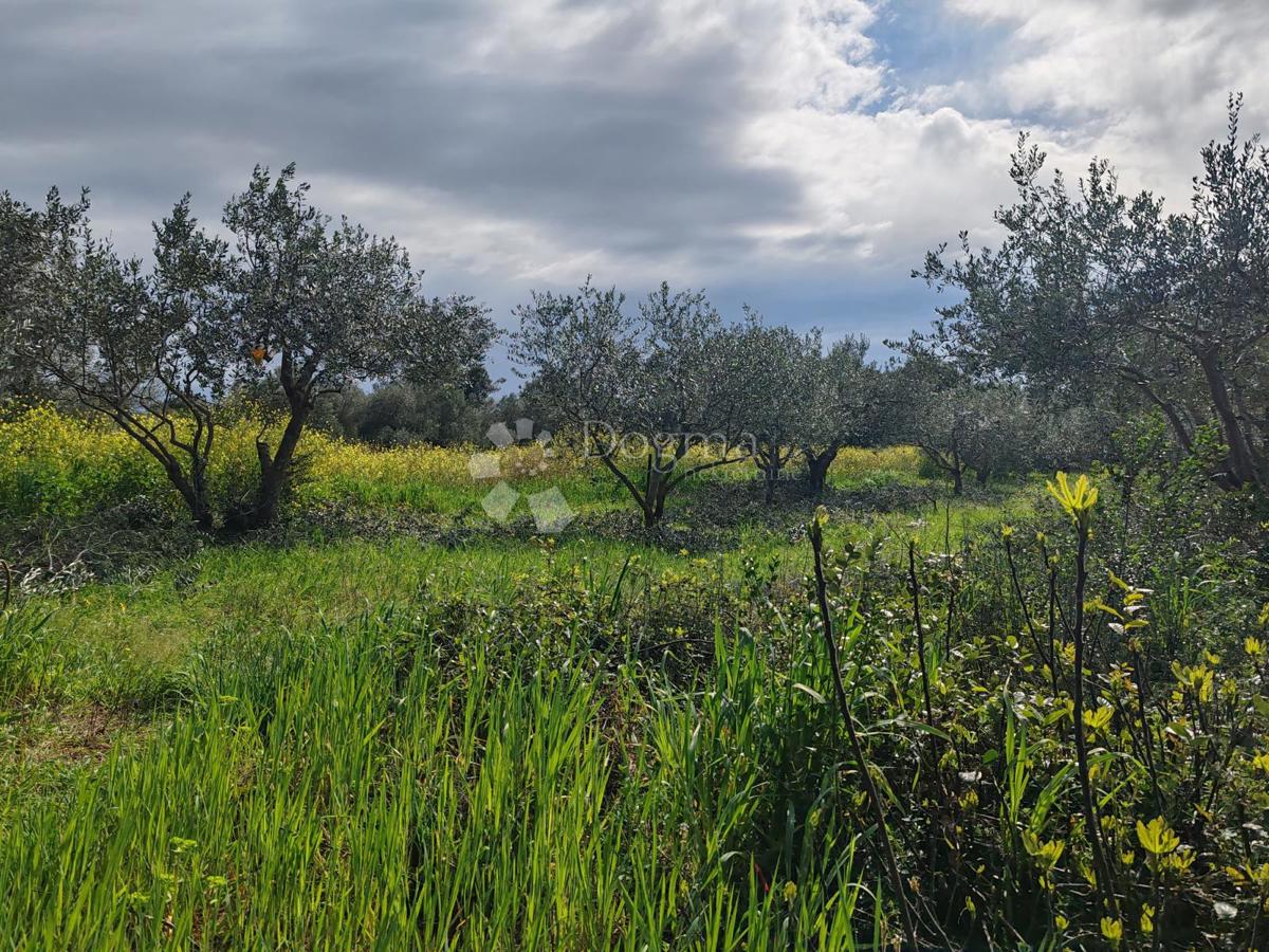 Terreno edificabile Sukošan 1062 m2