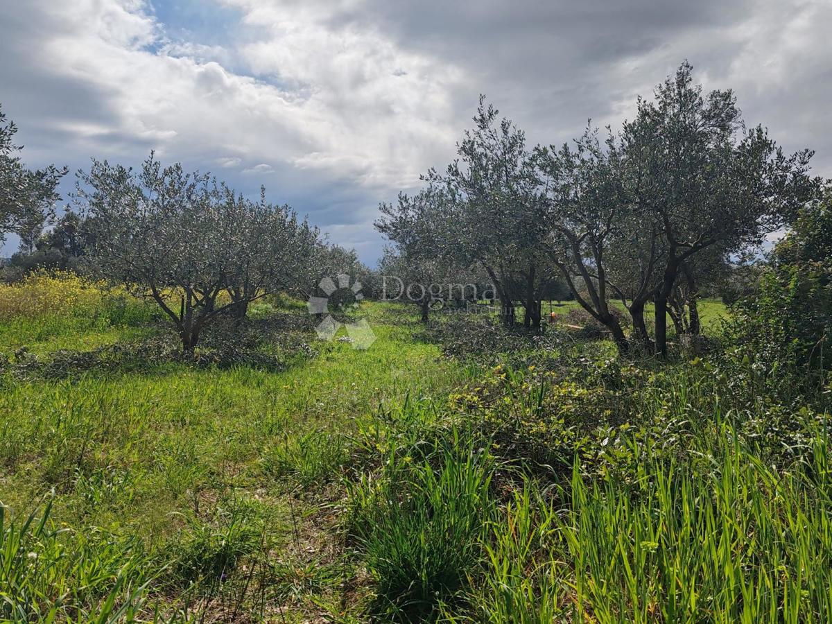 Terreno edificabile Sukošan 1062 m2