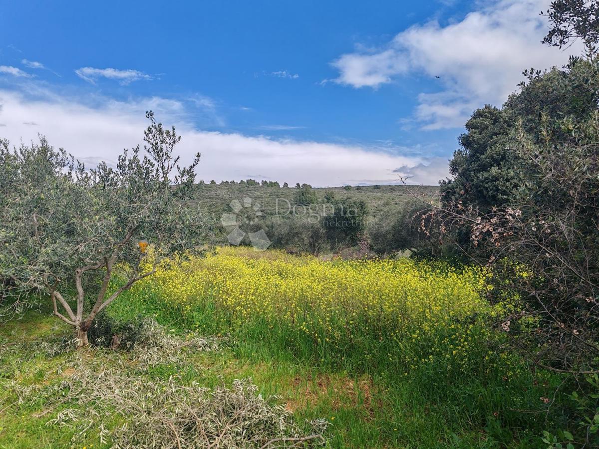 Terreno edificabile Sukošan 1062 m2