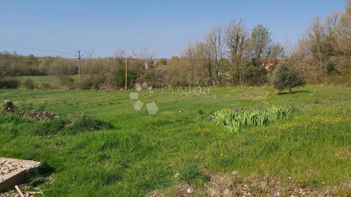 Opportunità di Ristrutturazione: Casa con Ampio Terreno Edificabile e Vista sulla Natura – Vicinanze di Labin