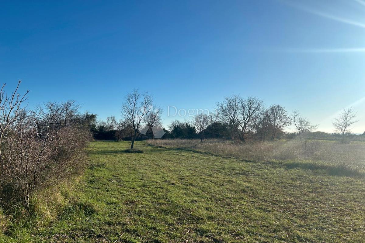 Terreno edificabile Vodnjan, 481m2