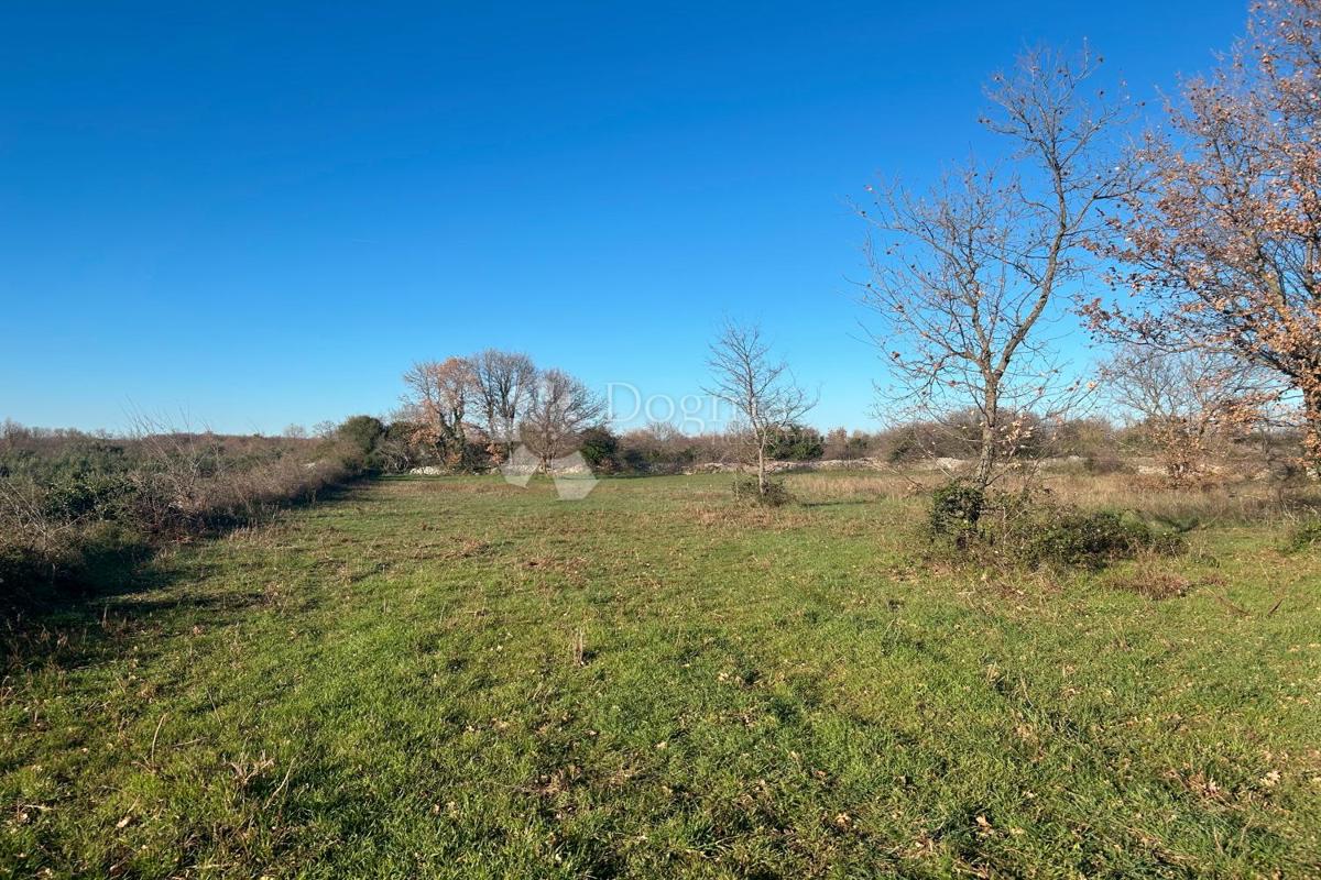 Terreno edificabile Vodnjan, 481m2