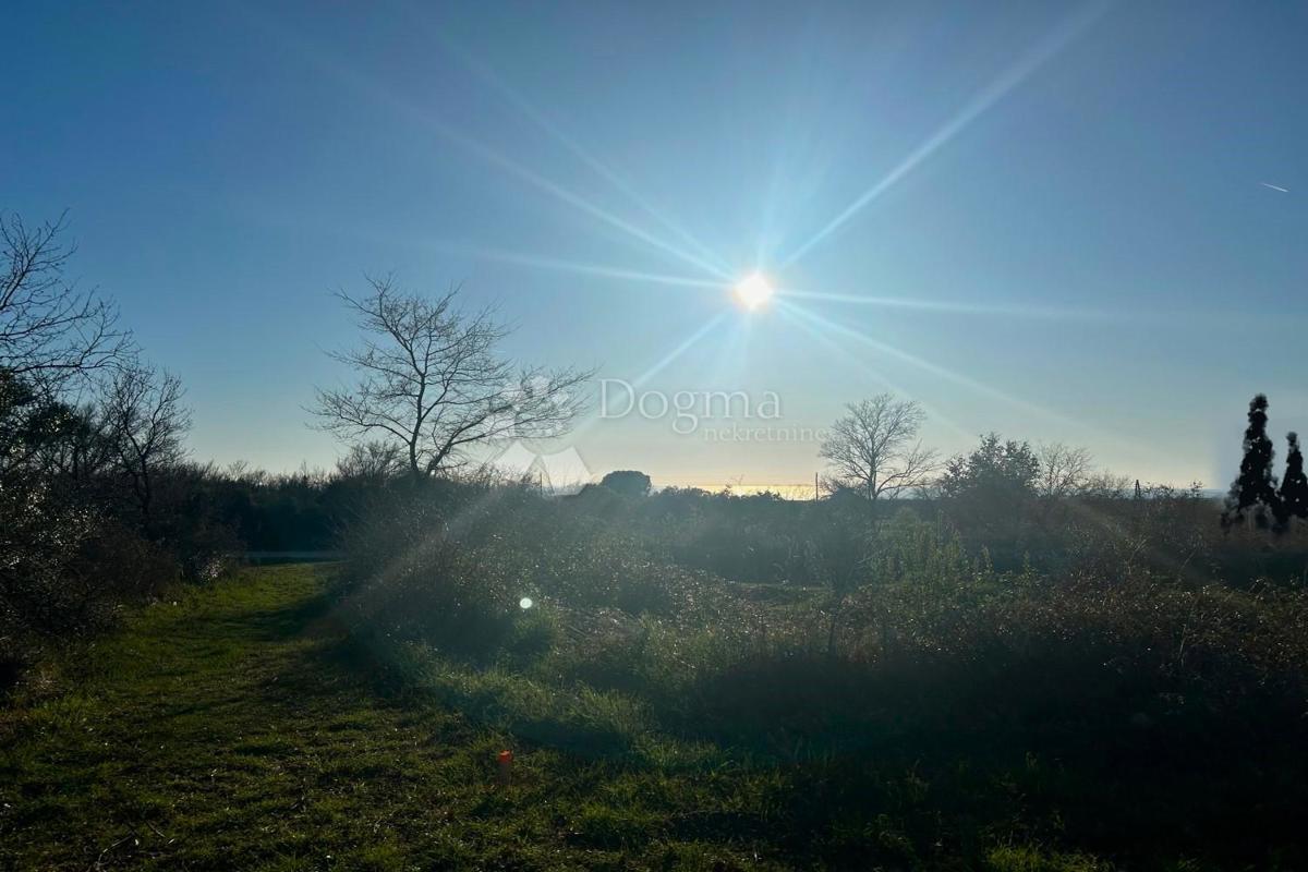 Terreno edificabile Vodnjan, 481m2