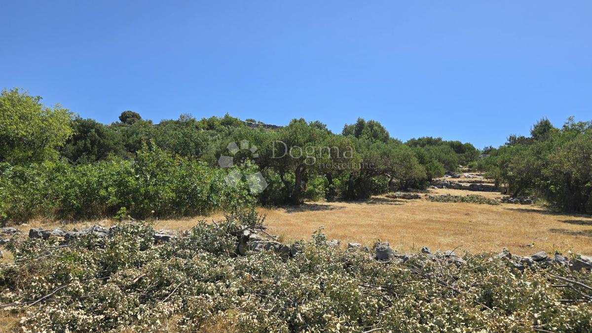 Terreno agricolo Ložišća, Milna, 8.500m2