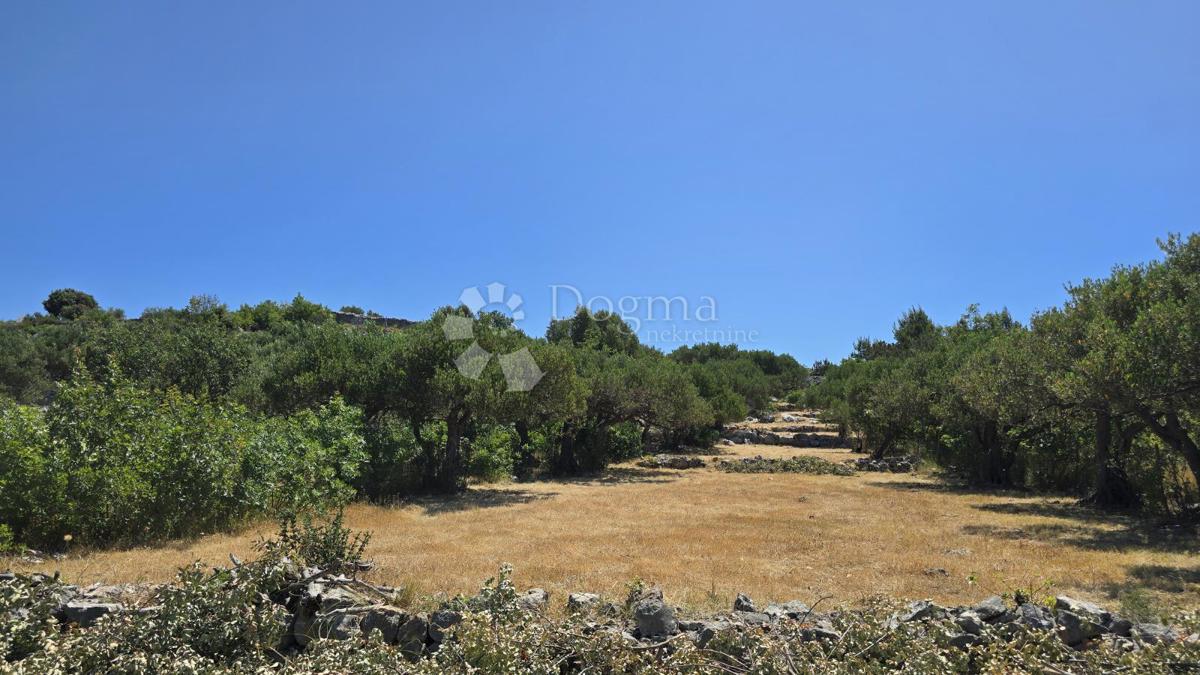 Terreno agricolo Ložišća, Milna, 8.500m2