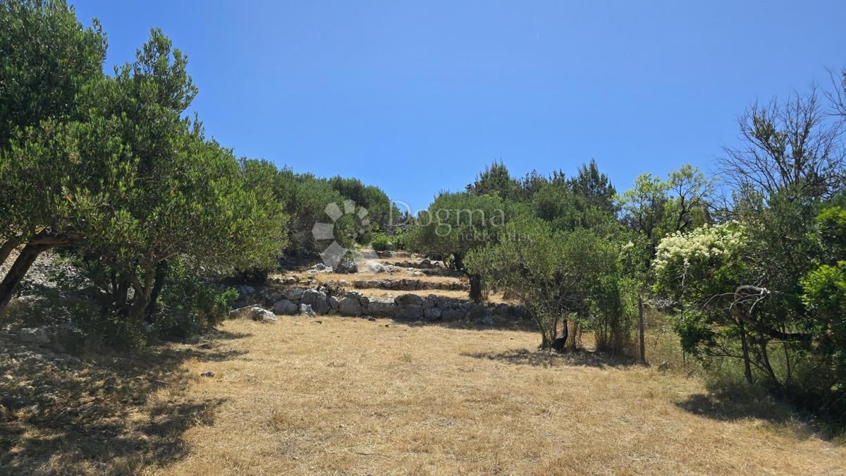 Terreno agricolo Ložišća, Milna, 8.500m2