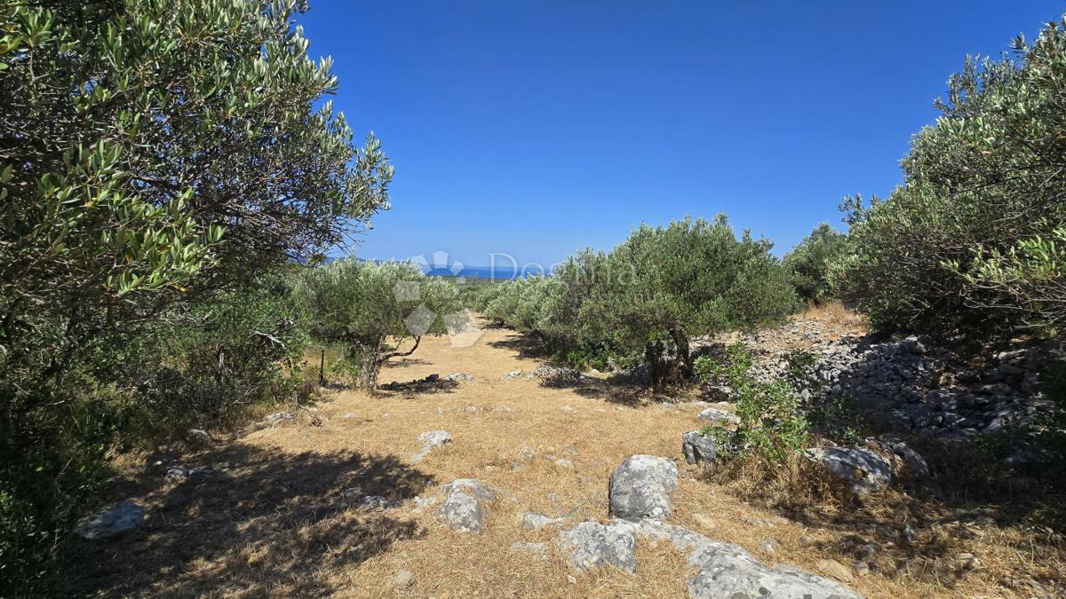 Terreno agricolo Ložišća, Milna, 8.500m2