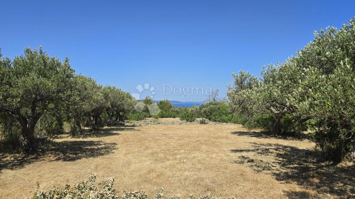 Terreno agricolo Ložišća, Milna, 8.500m2