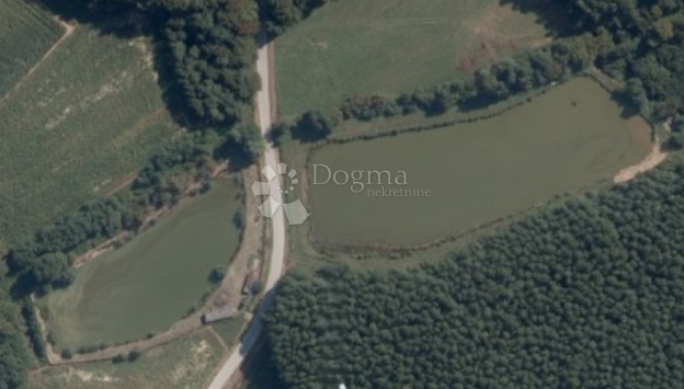 Terreno agricolo Prnjavor Lepavinski, Sokolovac, 16.522m2