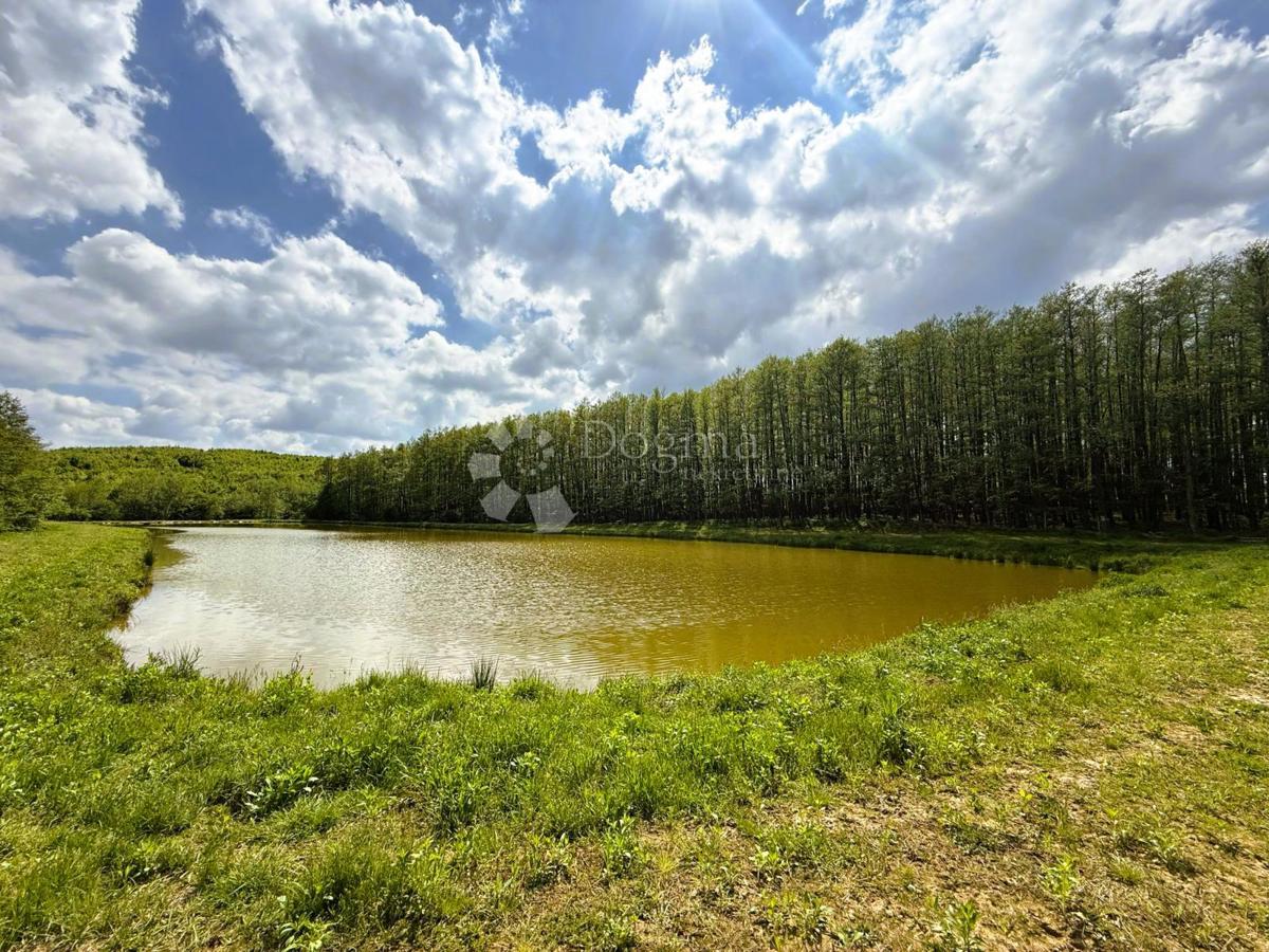 Terreno agricolo Prnjavor Lepavinski, Sokolovac, 16.522m2
