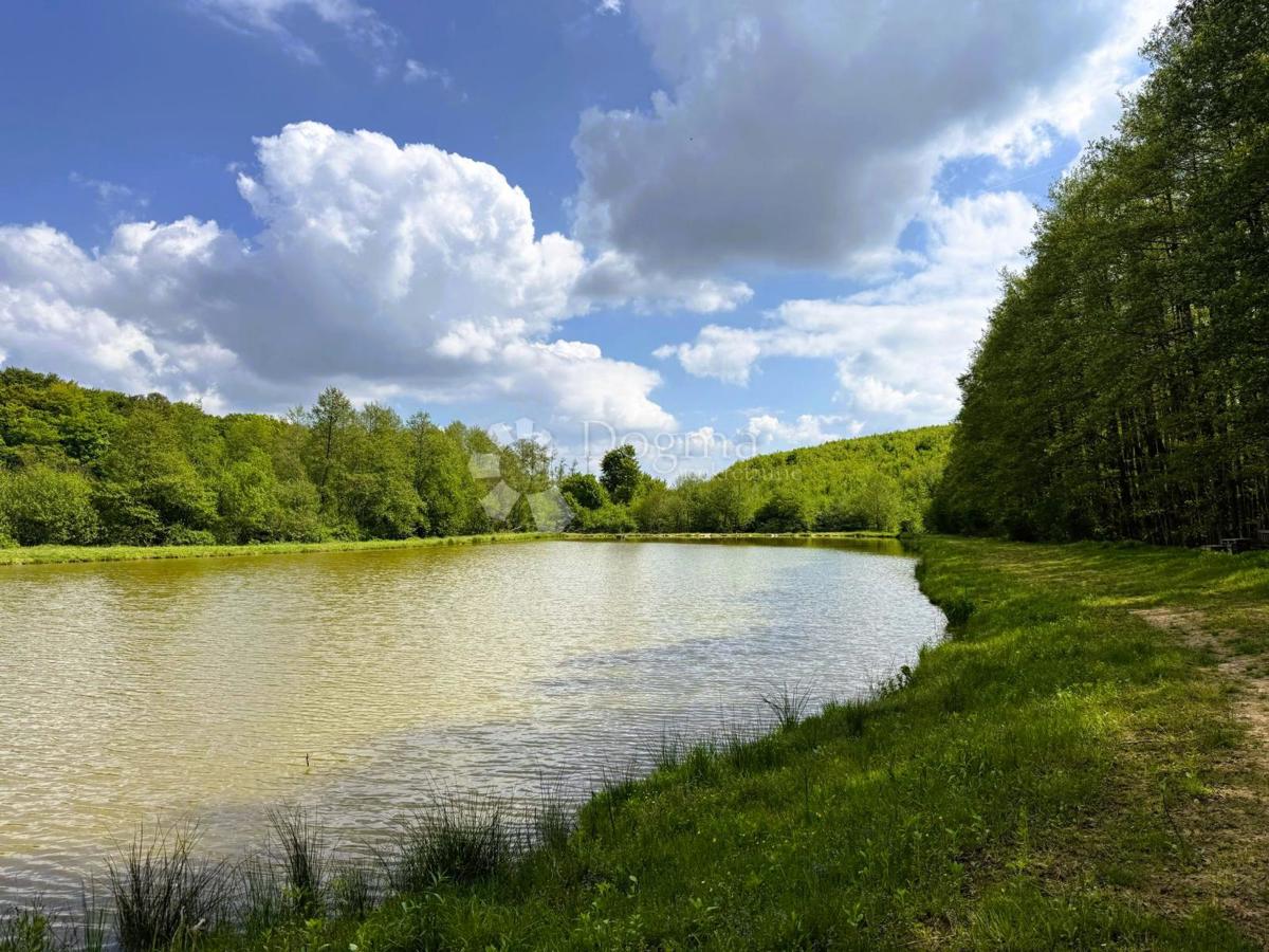 Terreno agricolo Prnjavor Lepavinski, Sokolovac, 16.522m2