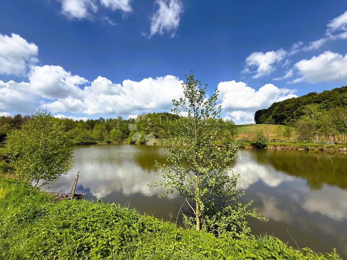 Terreno agricolo Prnjavor Lepavinski, Sokolovac, 16.522m2