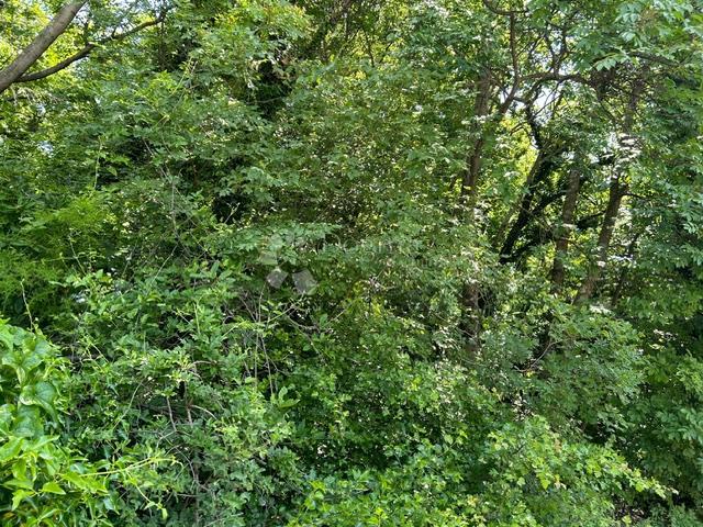 Terreno agricolo Klana, 24.667m2