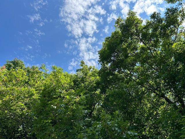 Terreno agricolo Klana, 24.667m2