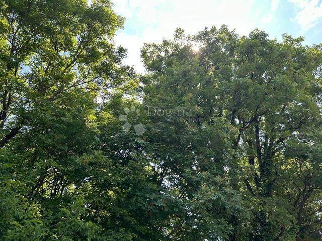 Terreno agricolo Klana, 24.667m2