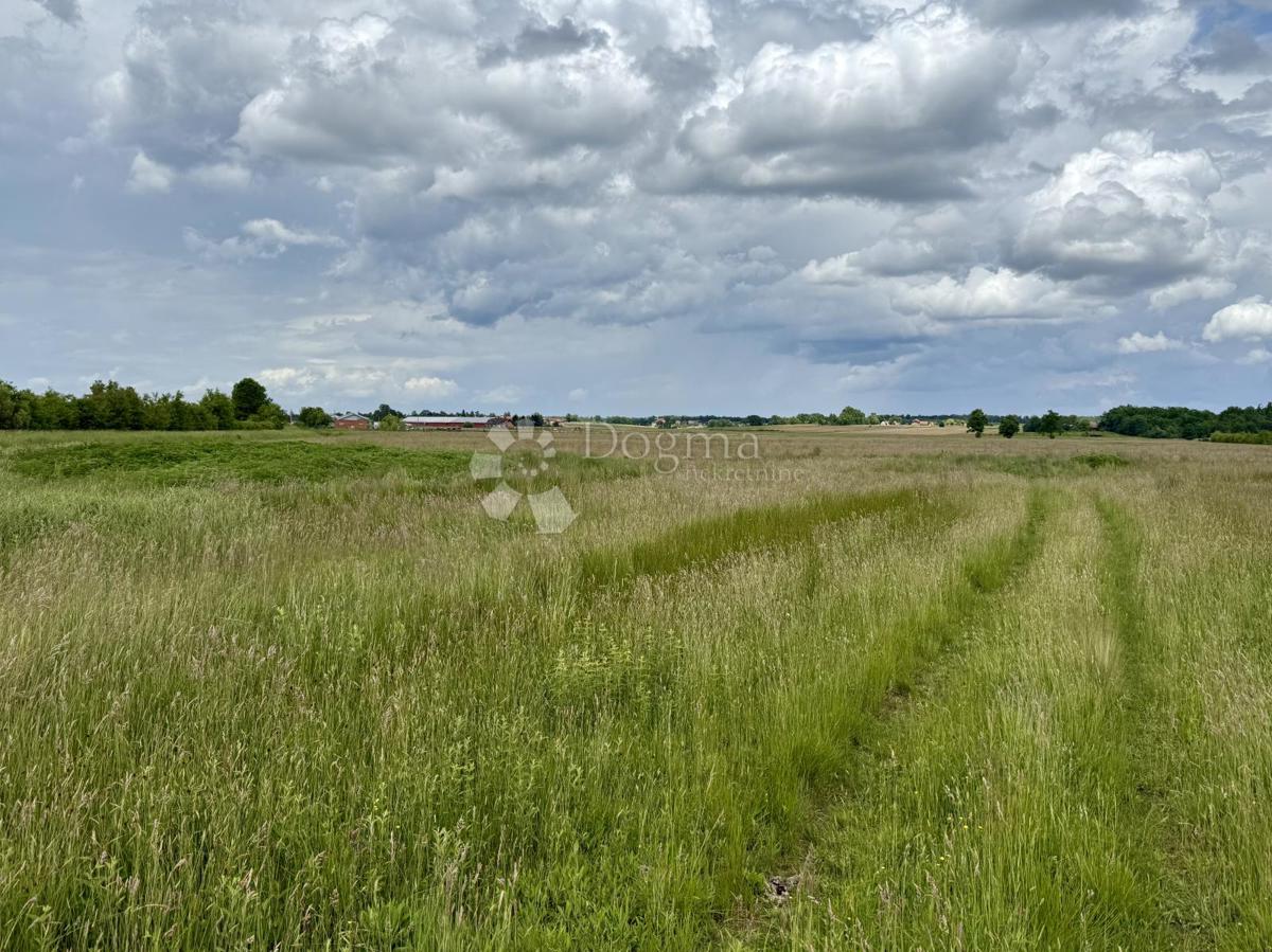 Ottima opportunità commerciale – terreno a destinazione produttiva e commerciale