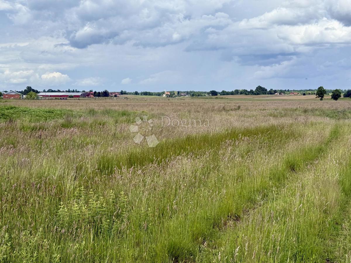 Ottima opportunità commerciale – terreno a destinazione produttiva e commerciale