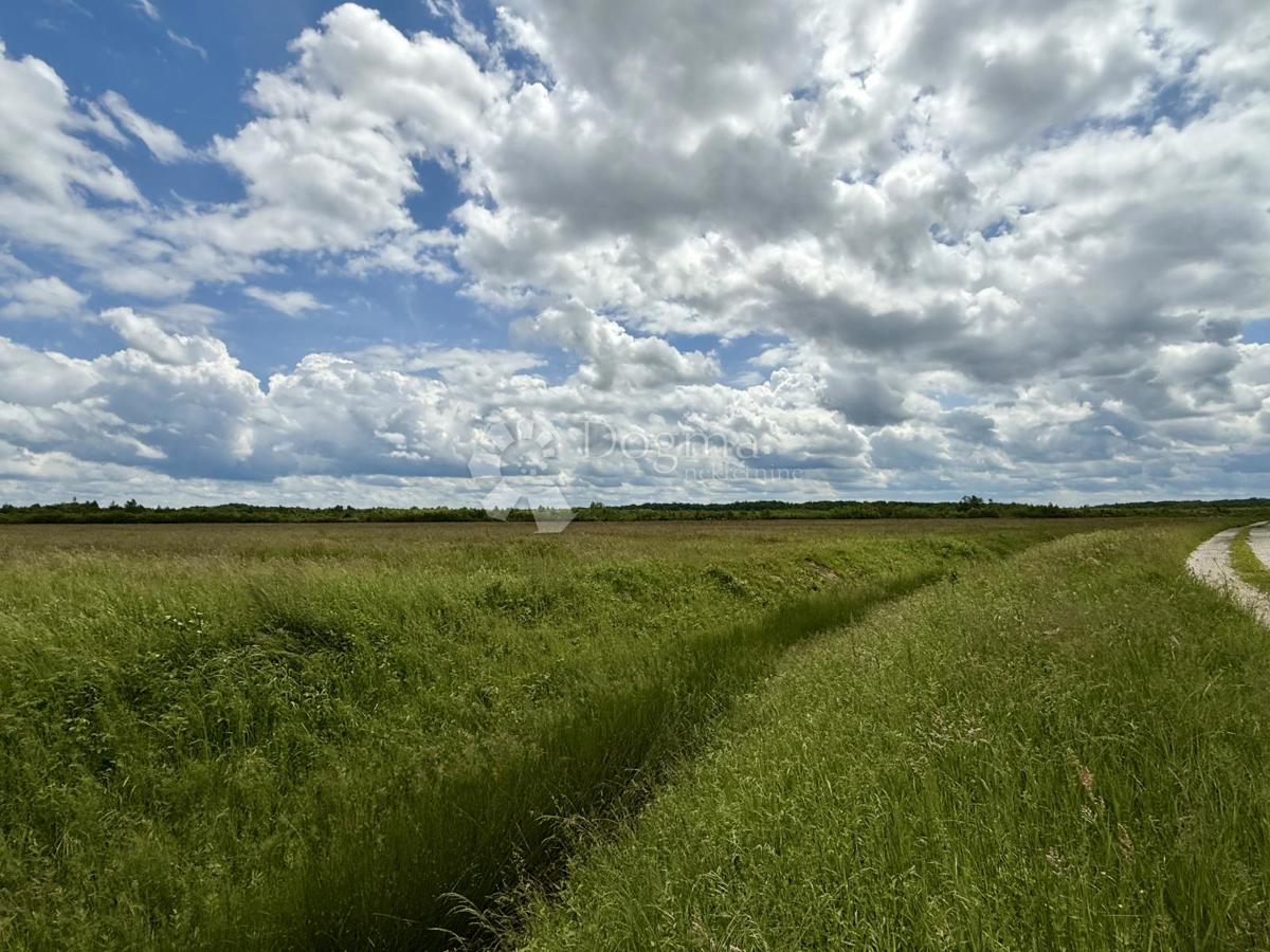 Ottima opportunità commerciale – terreno a destinazione produttiva e commerciale