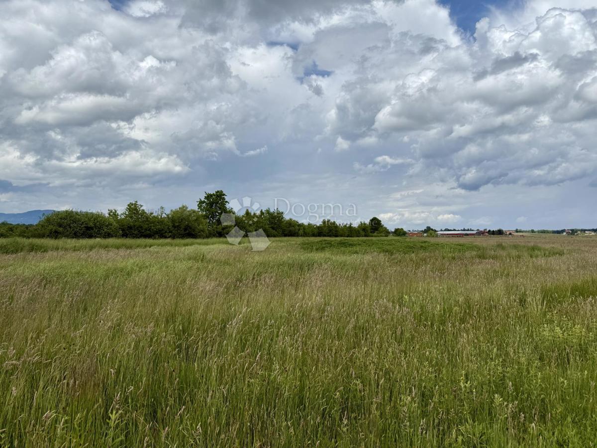 Ottima opportunità commerciale – terreno a destinazione produttiva e commerciale