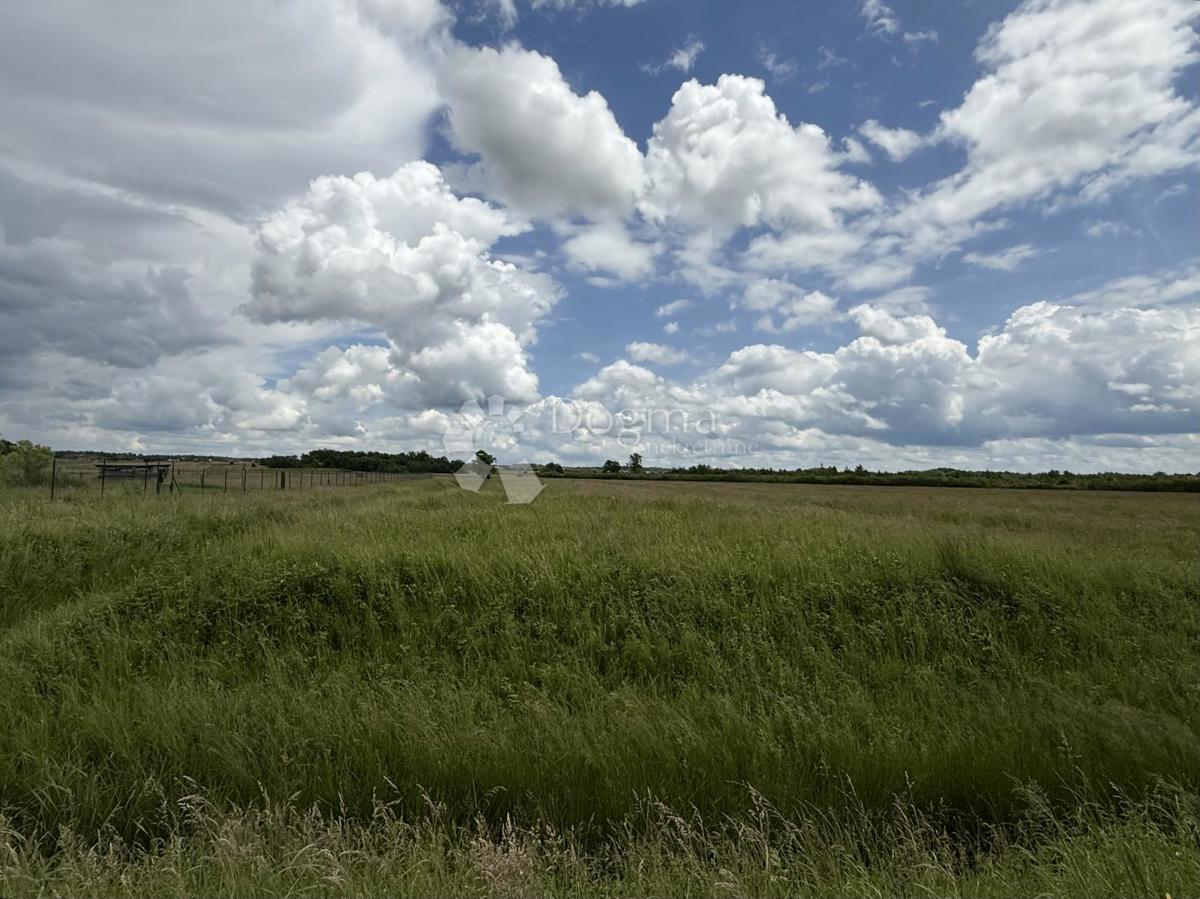 Ottima opportunità commerciale – terreno a destinazione produttiva e commerciale