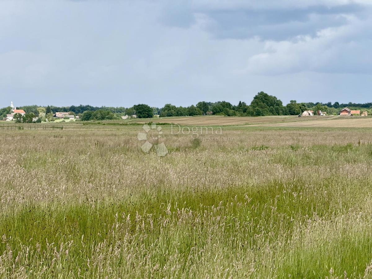 Ottima opportunità commerciale – terreno a destinazione produttiva e commerciale