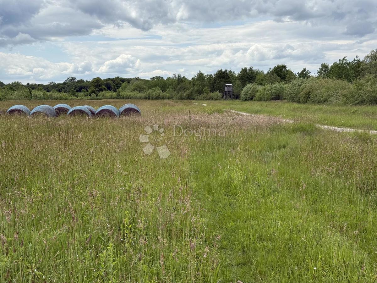 Ottima opportunità commerciale – terreno a destinazione produttiva e commerciale