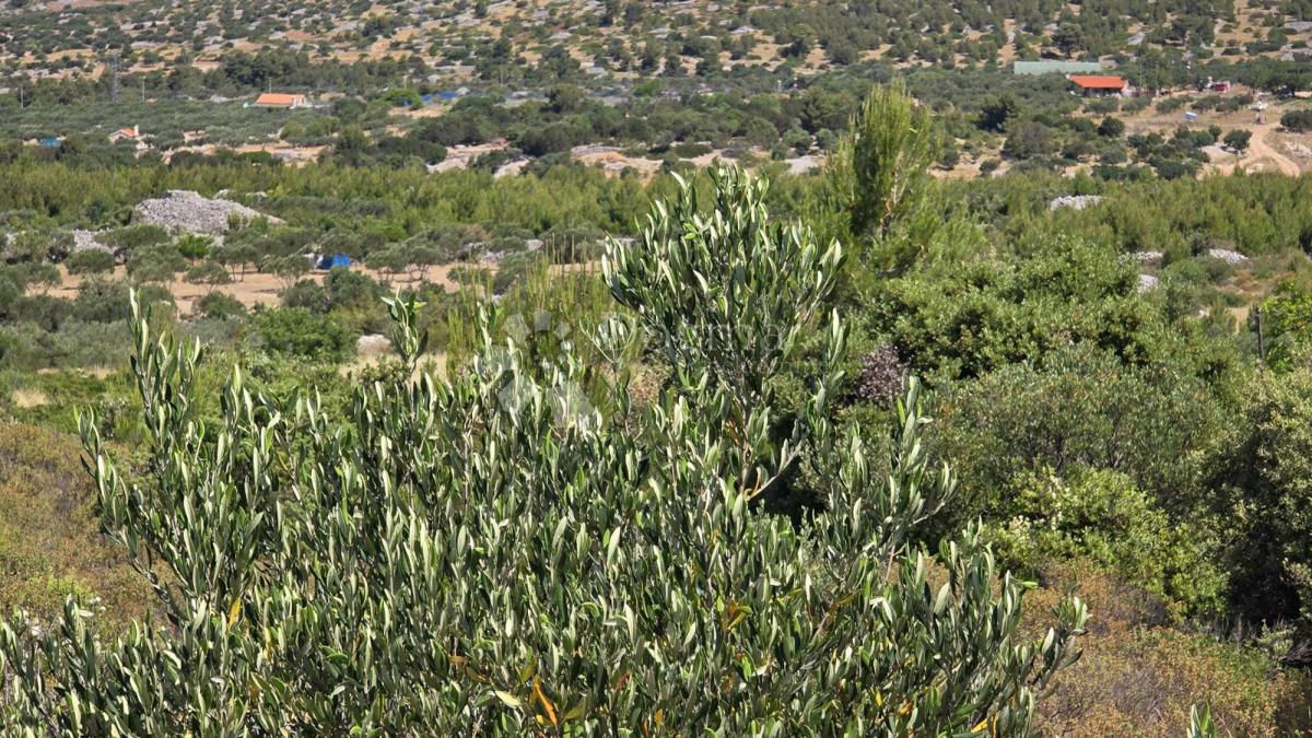 Terreno agricolo Milna, 7.487m2