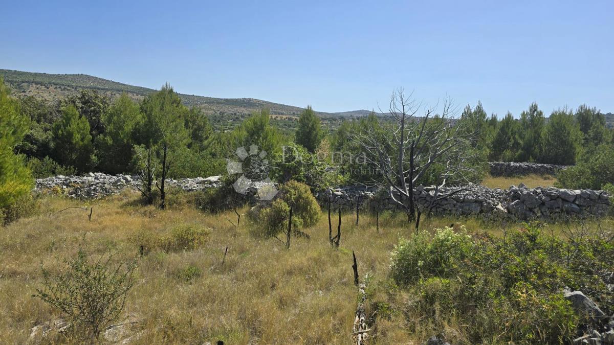 Terreno agricolo Milna, 7.487m2