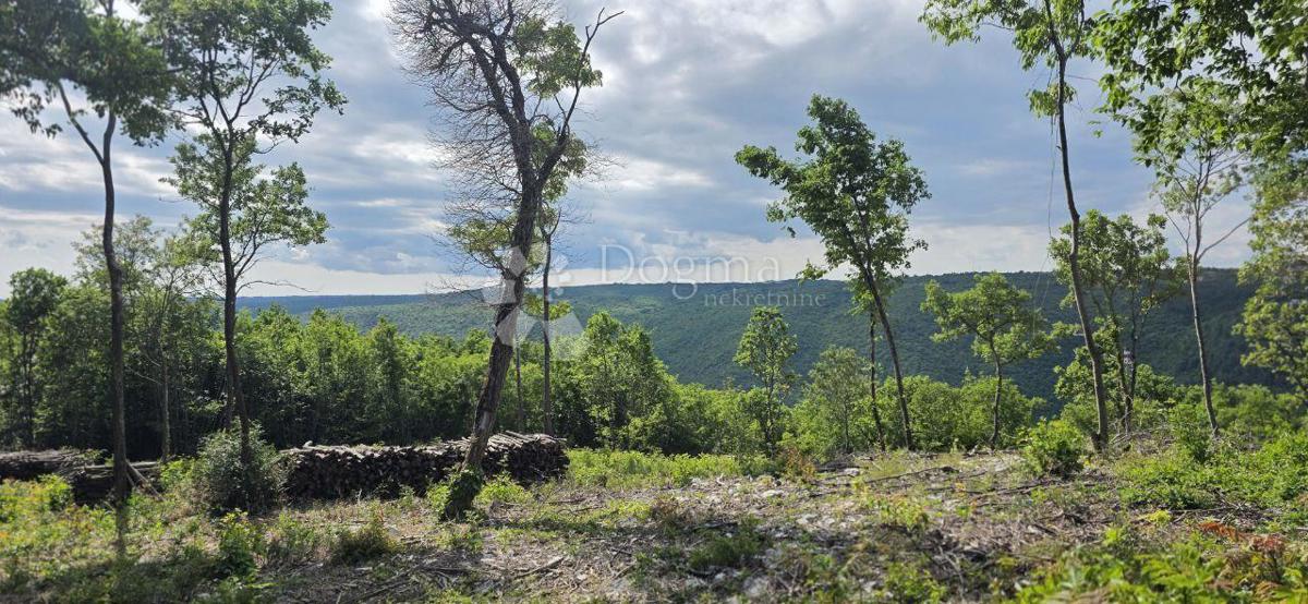 Terreno edificabile Labin, 2.895m2