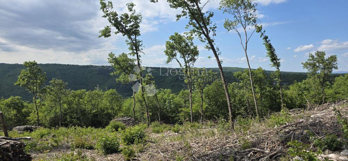 Terreno edificabile Labin, 2.895m2