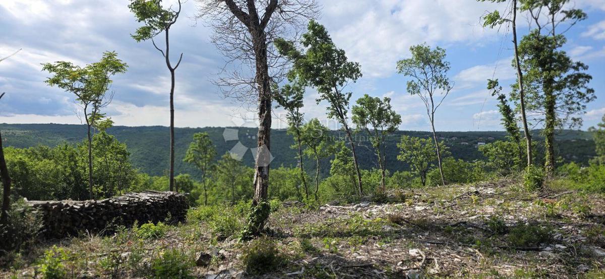 Terreno edificabile Labin, 2.895m2