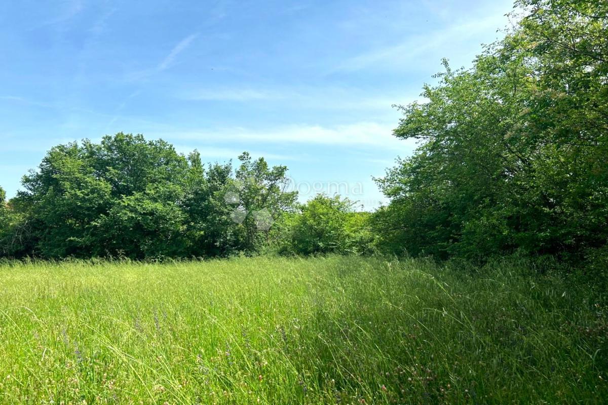 Terreno Orihi, Barban, 3.020m2