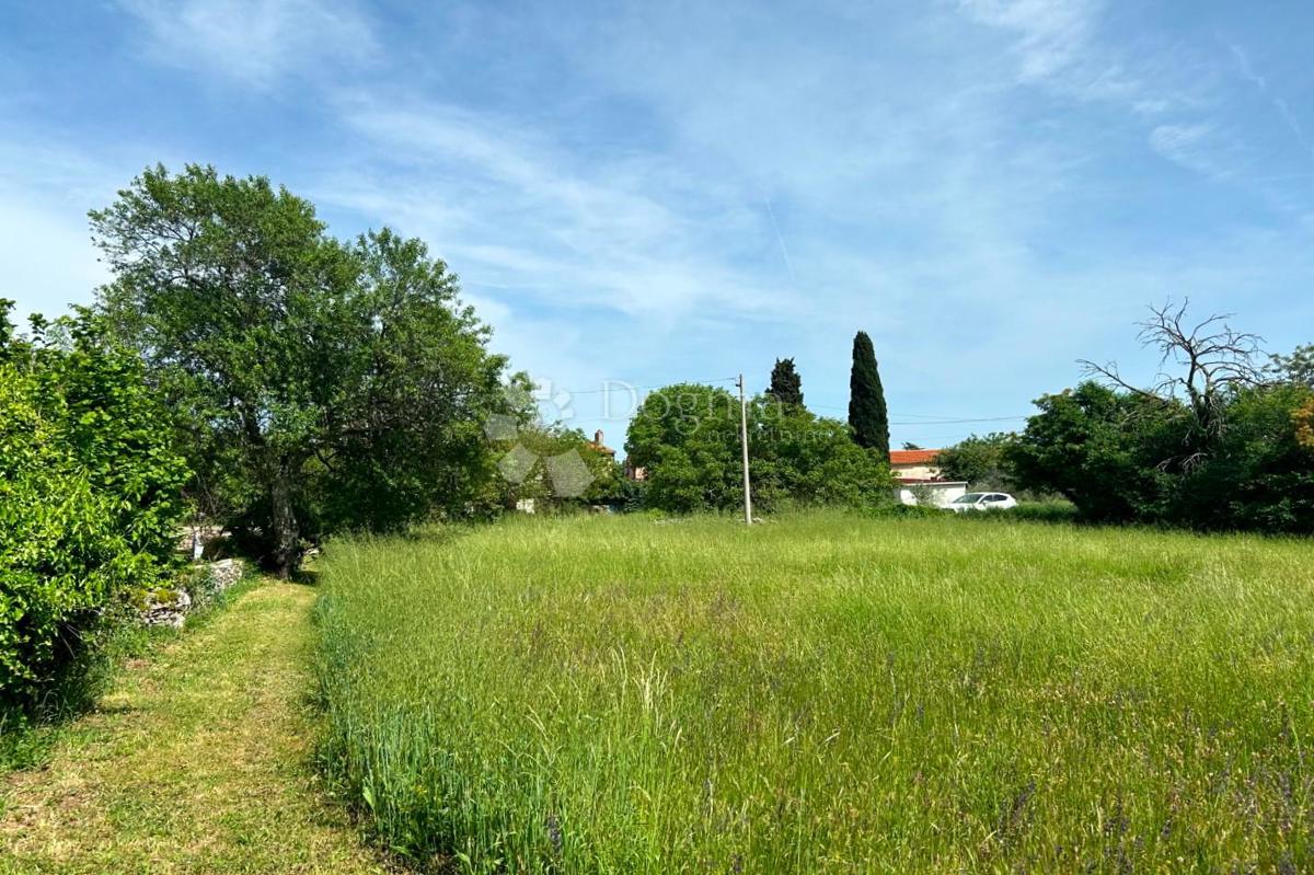 Terreno Orihi, Barban, 3.020m2