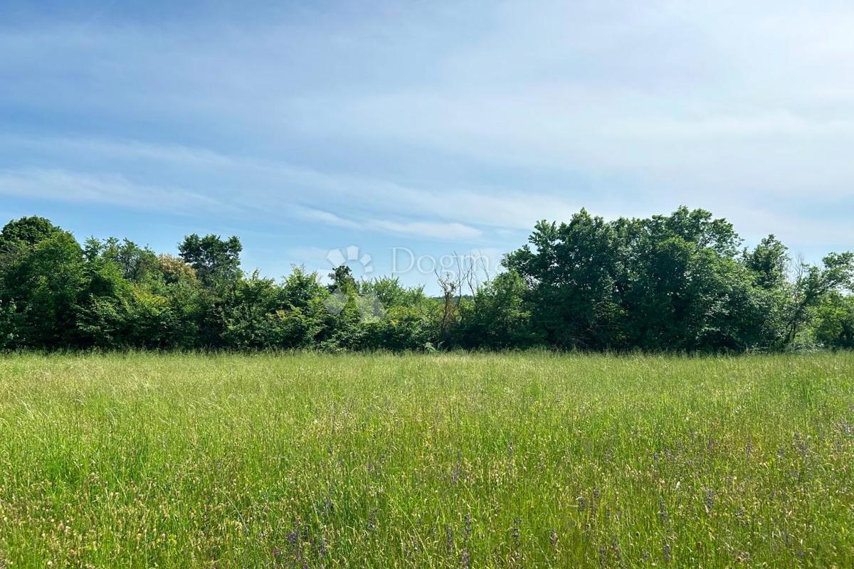 Terreno Orihi, Barban, 3.020m2