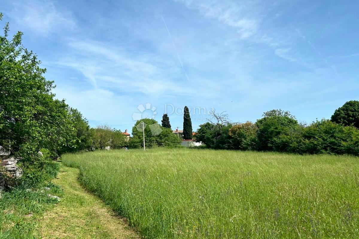 Terreno Orihi, Barban, 3.020m2