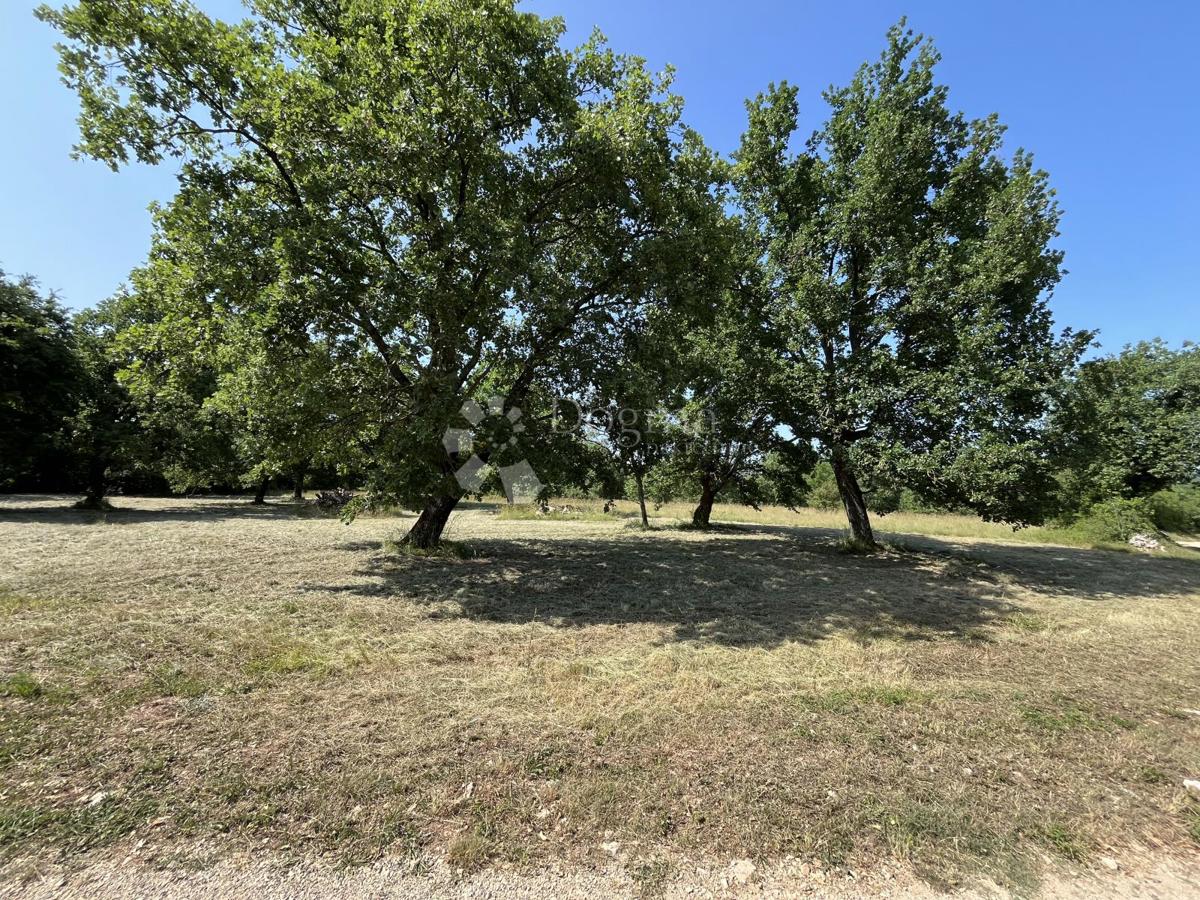 TERRENO CON PROGETTO PER LA COSTRUZIONE DI UNA CASA VICINO A VIŠNJAN